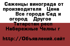 Саженцы винограда от производителя › Цена ­ 800 - Все города Сад и огород » Другое   . Татарстан респ.,Набережные Челны г.